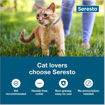 Seresto Flea & Tick Collar for Cats, 2 Collars(16-mos.supply)