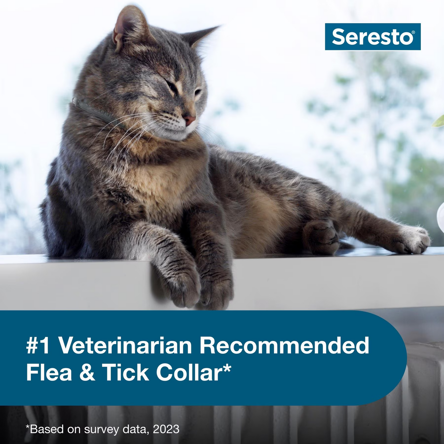 Seresto Flea & Tick Collar for Cats, 2 Collars(16-mos.supply)
