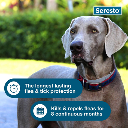 Seresto Flea & Tick Collar for Dogs, over 18-lbs,2 Collars(16-mos. supply)