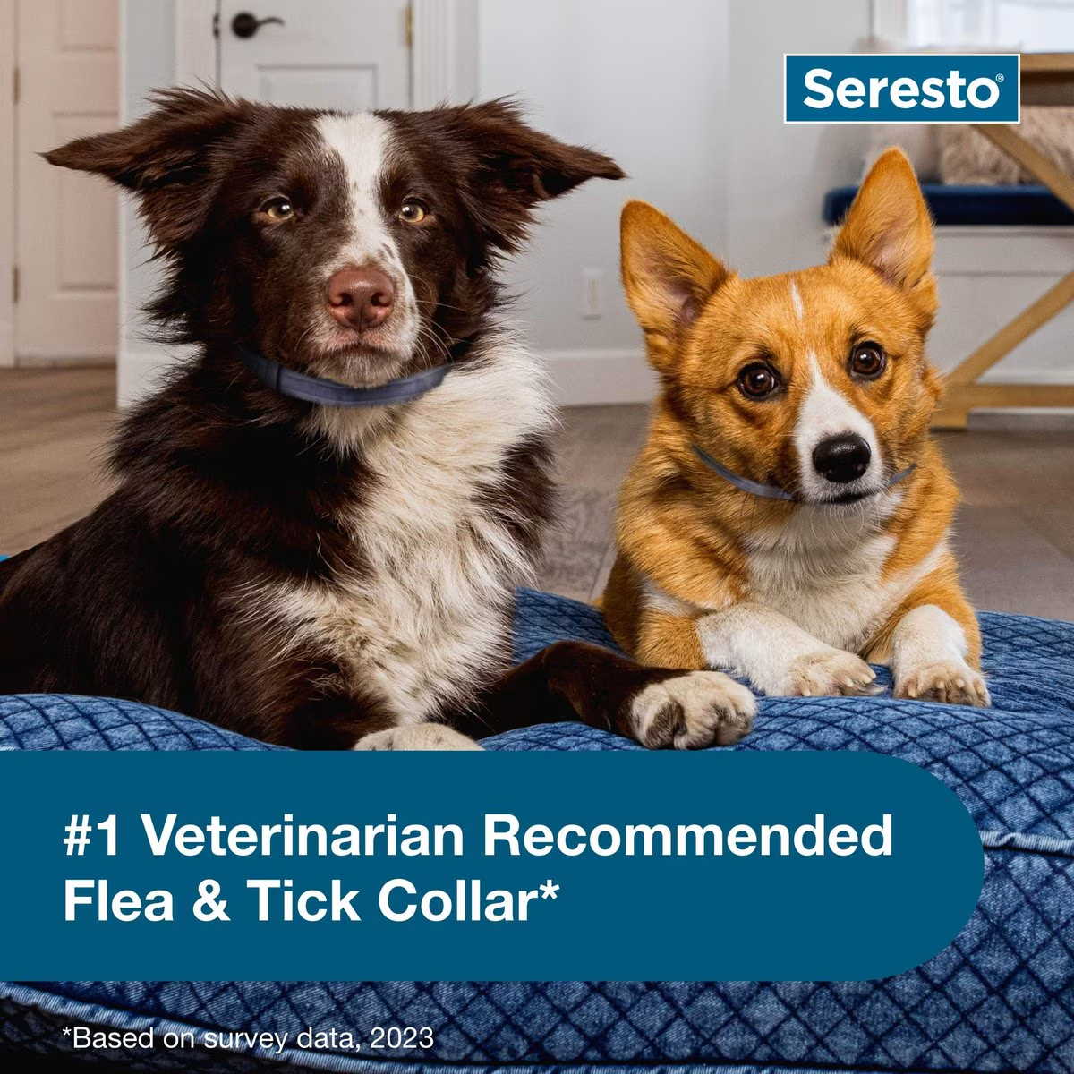 Seresto Flea & Tick Collar for Dogs, over 18-lbs,2 Collars(16-mos. supply)